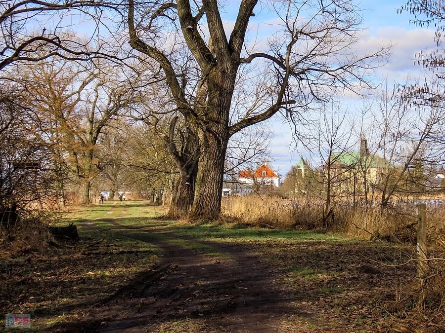 Grobla raszyńska, brakuje tylko żołnierzy