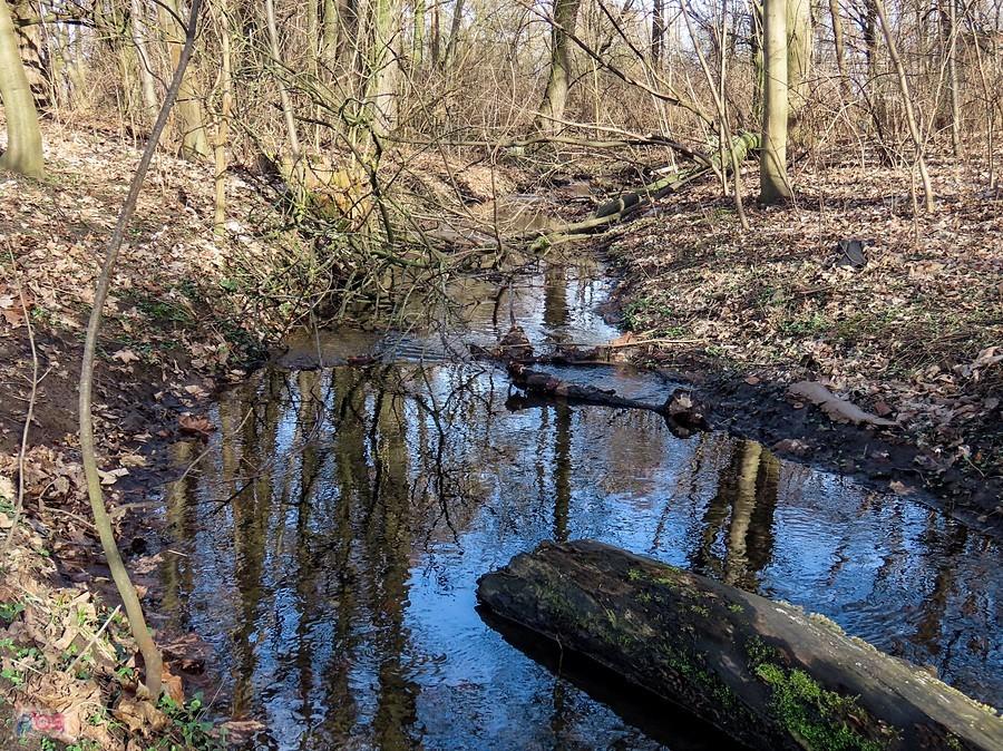 Struga, dopływ Raszynki, zasila również Stawy Raszyńskie
