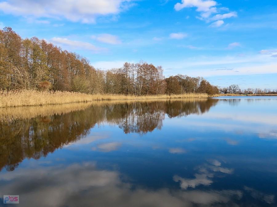 Rezerwat Stawy Raszyńskie