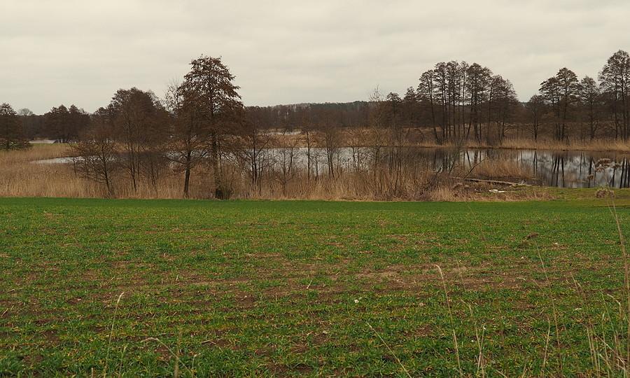 Przytoczna, jeziorka Kociołek i Mniszek