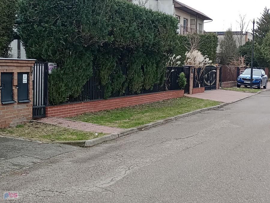 Na Cieplarnianej już się zazieleniło