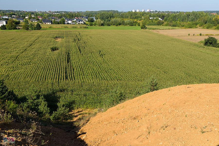Hałda popłuczkowa w Tarnowskich Górach