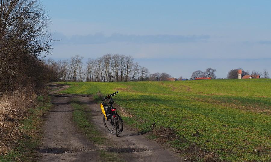 W stronę Sułowa, pola jak w marcu