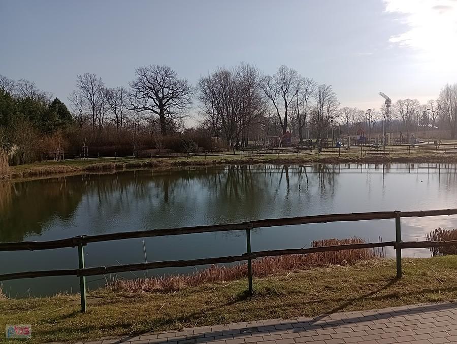 Staw w Borzęcinie