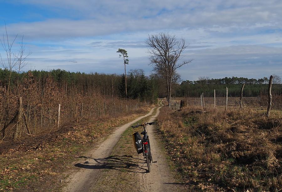 Między Kunowicami a Gajcem