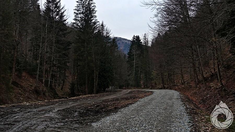 wieczorna droga w góry Doliną Roztoki