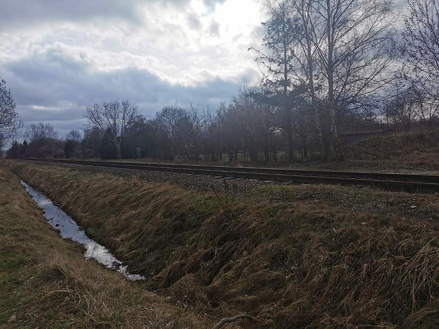 Bezdroża na niskim Wilanowie