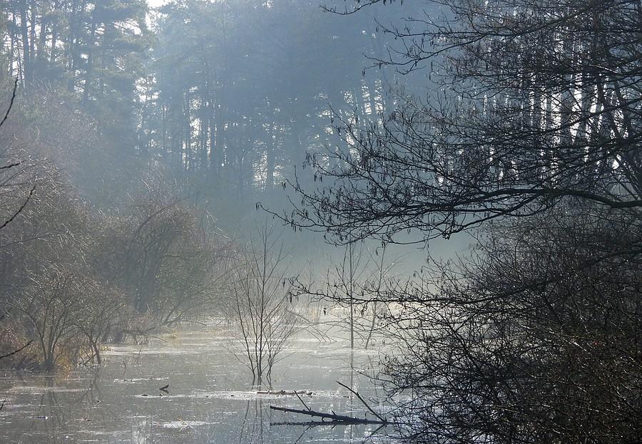 Mgły nad rozlewiskiem