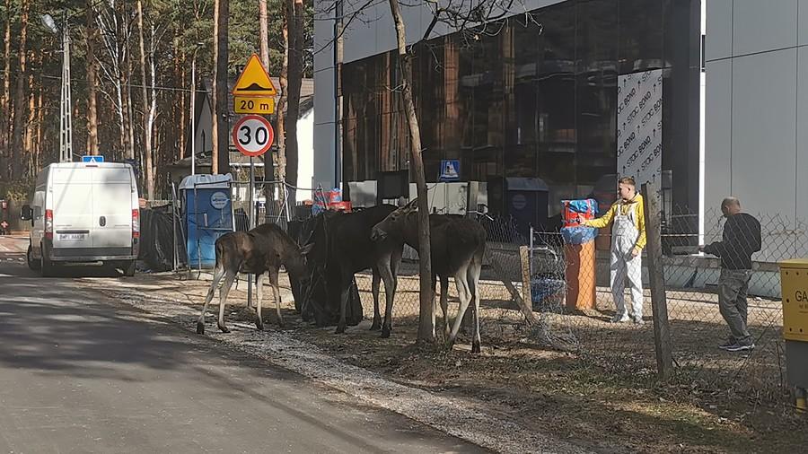 Jesteśmy na wolności