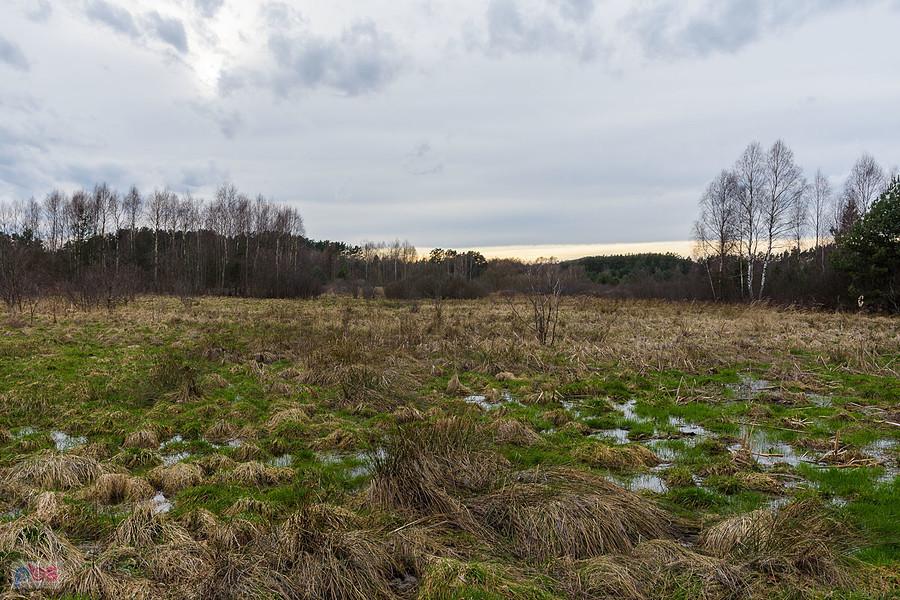 Plener w pobliżu jeziorka krasowego w Kusiętach