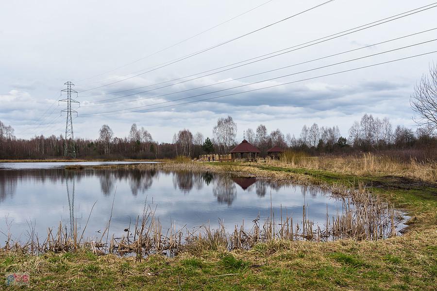 Jeziorko Krasowe w Kusiętach
