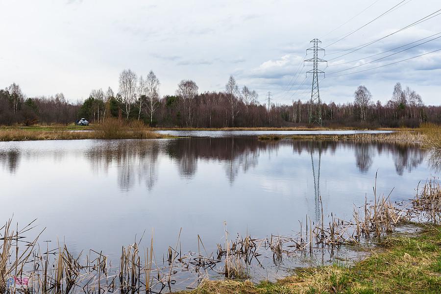 Jeziorko Krasowe w Kusiętach