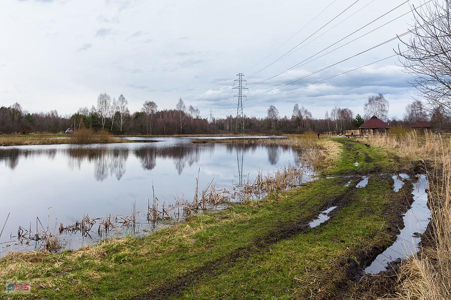 Jeziorko Krasowe w Kusiętach
