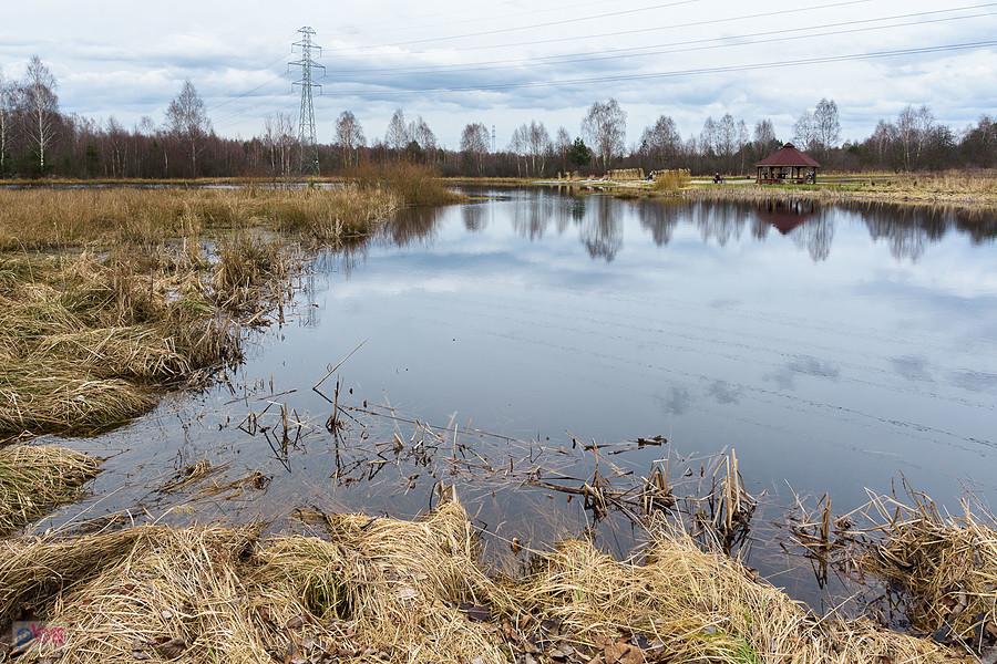 Jeziorko Krasowe w Kusiętach