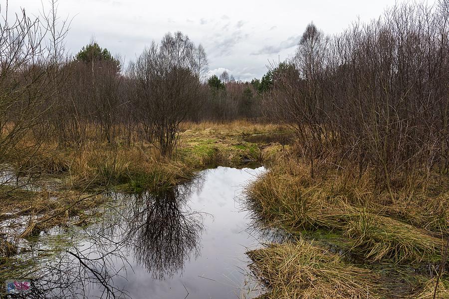 Zalana droga obok jeziorka krasowego w Kusiętach