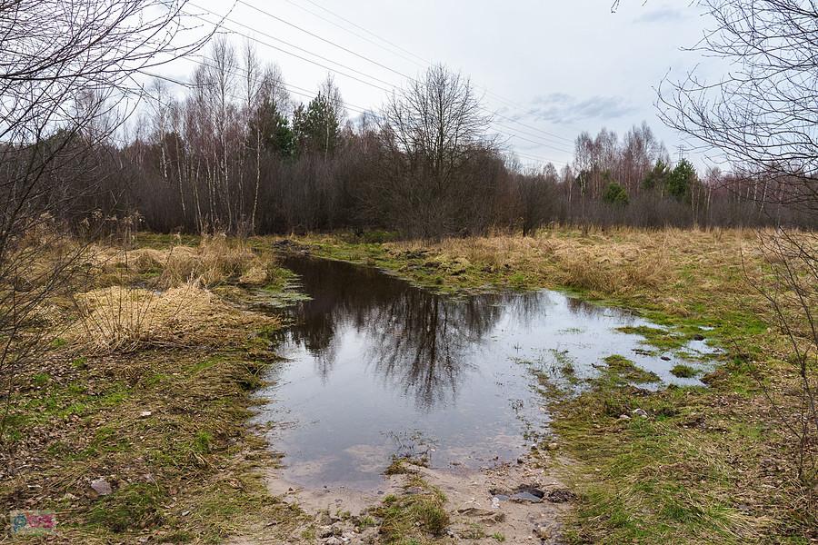 Zalana droga obok jeziorka krasowego w Kusiętach