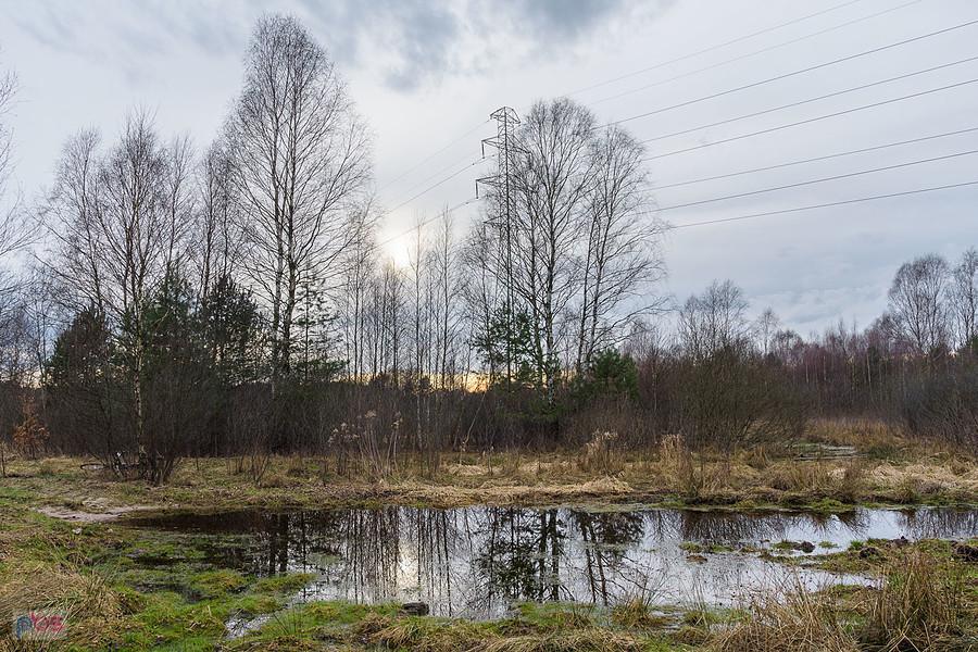 Zalana droga obok jeziorka krasowego w Kusiętach