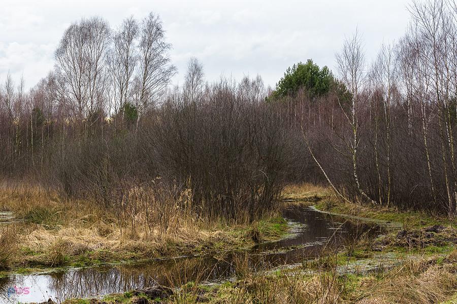 Zalana droga obok jeziorka krasowego w Kusiętach