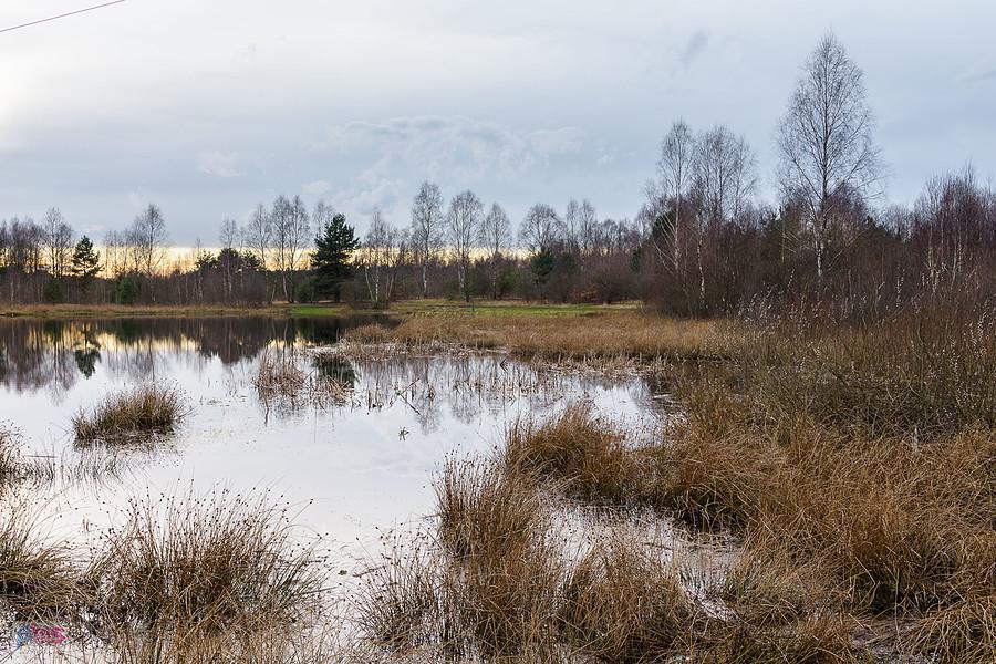 Jeziorko Krasowe w Kusiętach