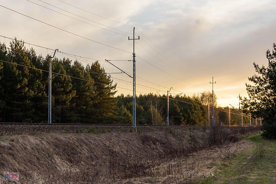 Tory linii D29-61, szlak Julianka - Turów w miejscowości Bukowno