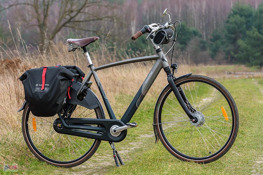 Na wzgórzu w Turowie - Gazelle Orange C8