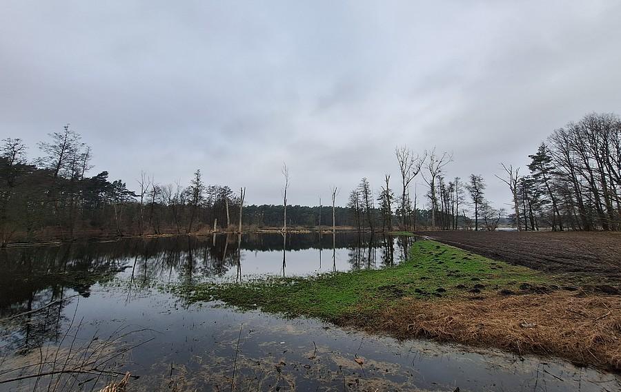 Poznańska Głuszyna wciąż zalana