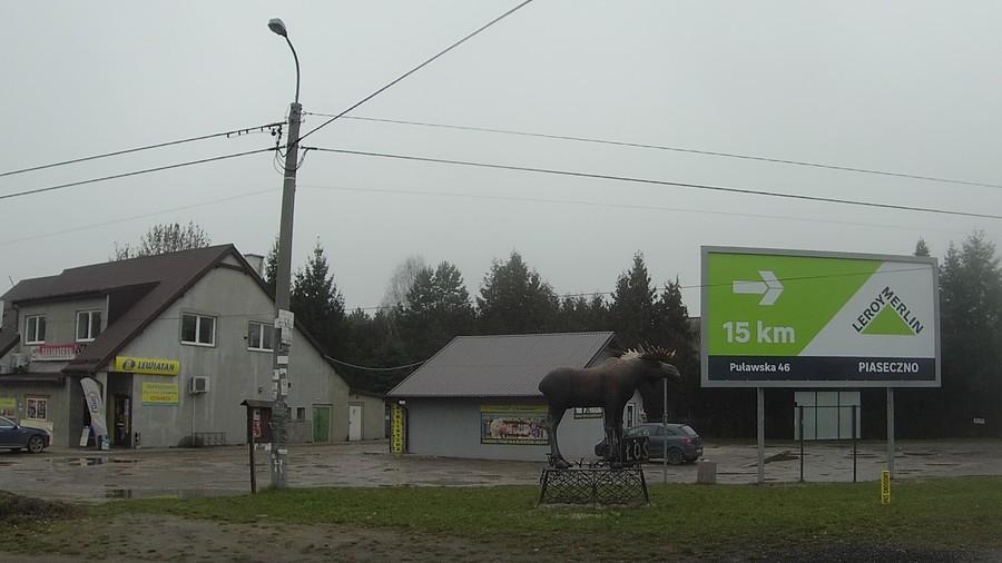 A oto i łoś ufundowany przez właściciela sklepu Lewiatan...
