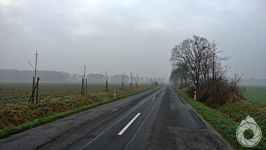 zamglona opolszczyzna z rana