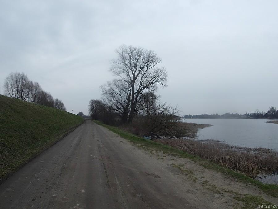 Jezioro Dziekanowskie
