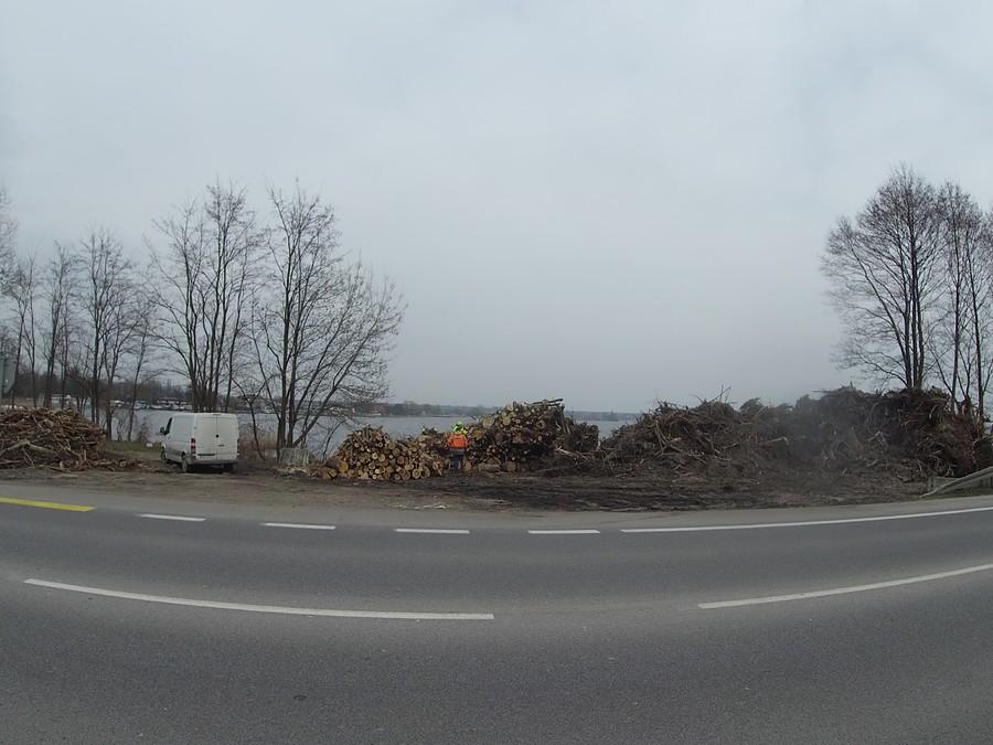 Wycinka przed budową nad samą wodą