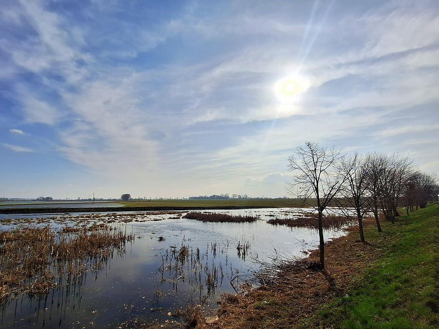 Słońce w Szczodrzykowie
