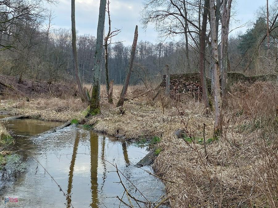 Relikty przedwojennego młyna na Tarczynce, kolega Surf wyjawił na światło dzienne ten obiekt definiując do w waypointgame.