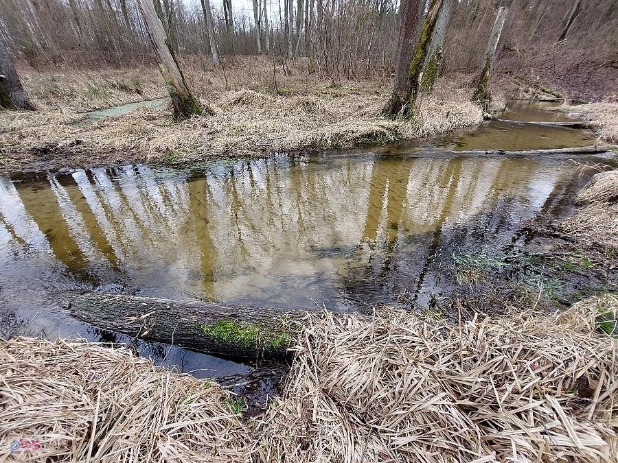 Piękne piaszczyste dno Tarczynki, niestety żeremie będące w ubiegły, roku zniosła woda.
