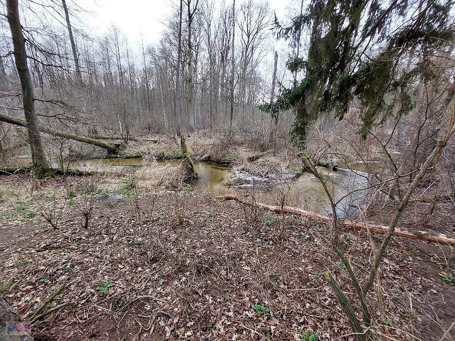 .... i widok z wydmy na Tarczynkę
