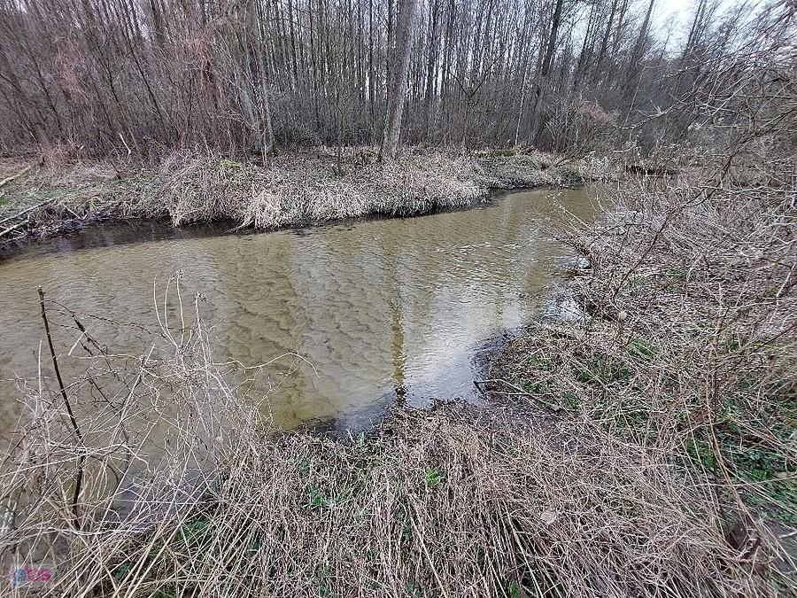I Tarczynka koło szałasu. Woda czysta, dno bez mułu.