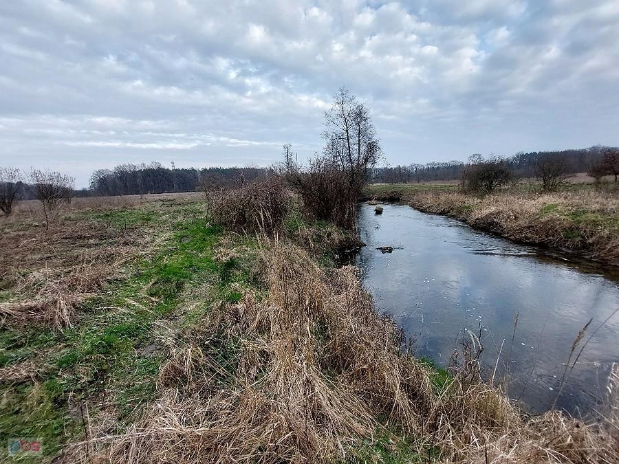 Jeziorka wzbogacona o wody Tarczynki zmierza dalej ku spotkaniu z Wisłą