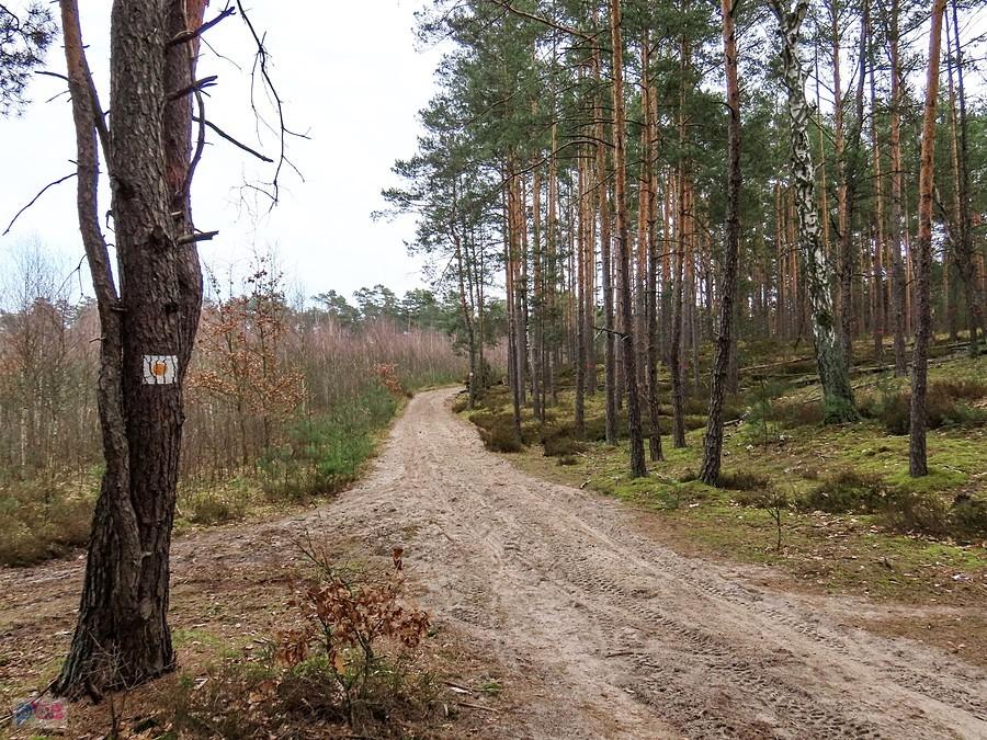 Koński trakt