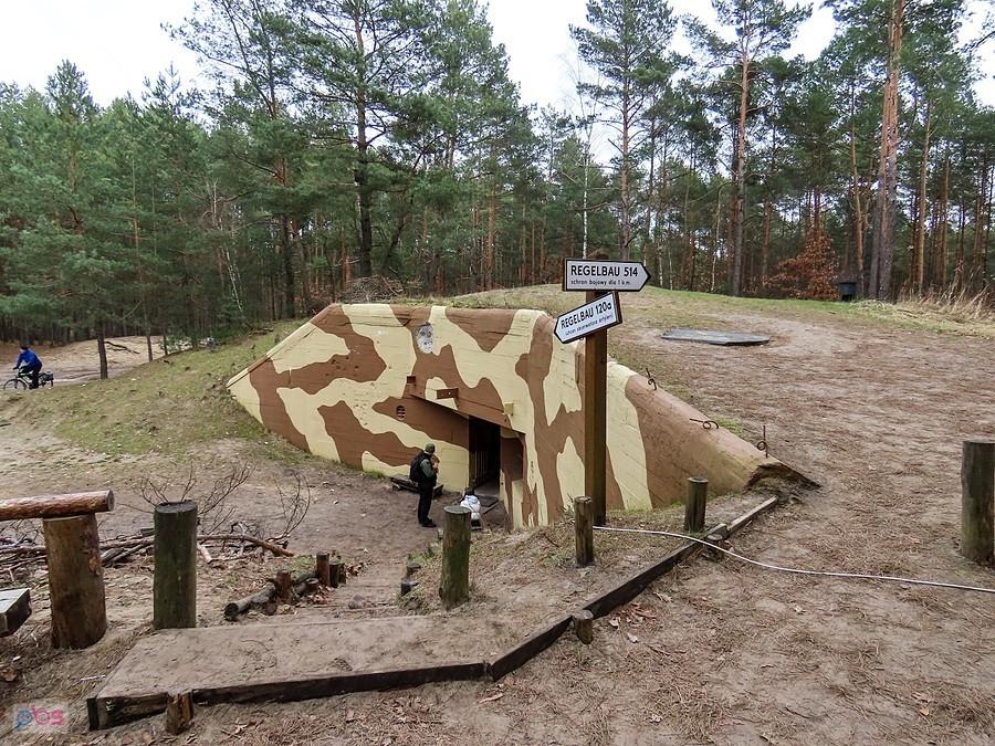 Jeden z bunkrów na Dąbrowieckiej Górze