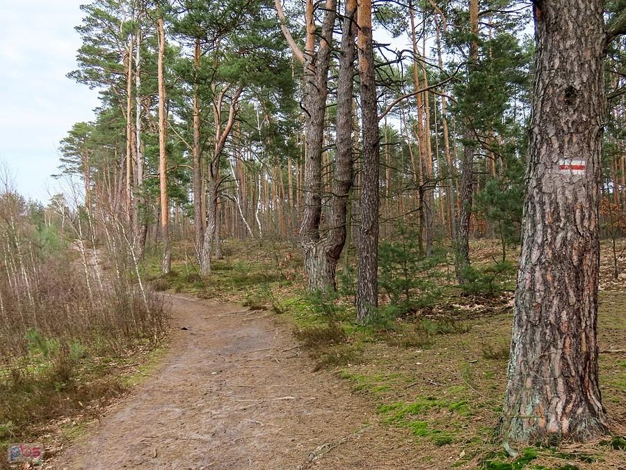 Na czerwony szlaku Warszawskiej Obwodnicy Turystycznej