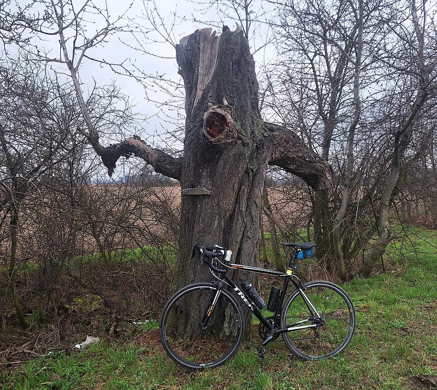 Cyklop spod Tulec