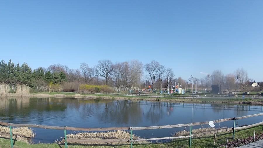 Staw w Borzęcinie