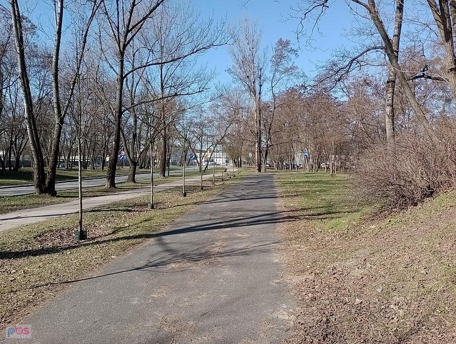 Piękny słoneczny dzień