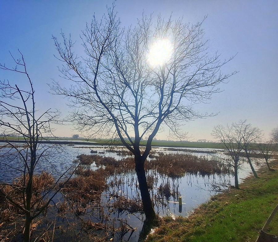 Słońce nad stawem
