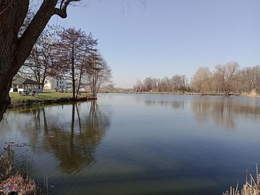 Staw w Zielonkach
