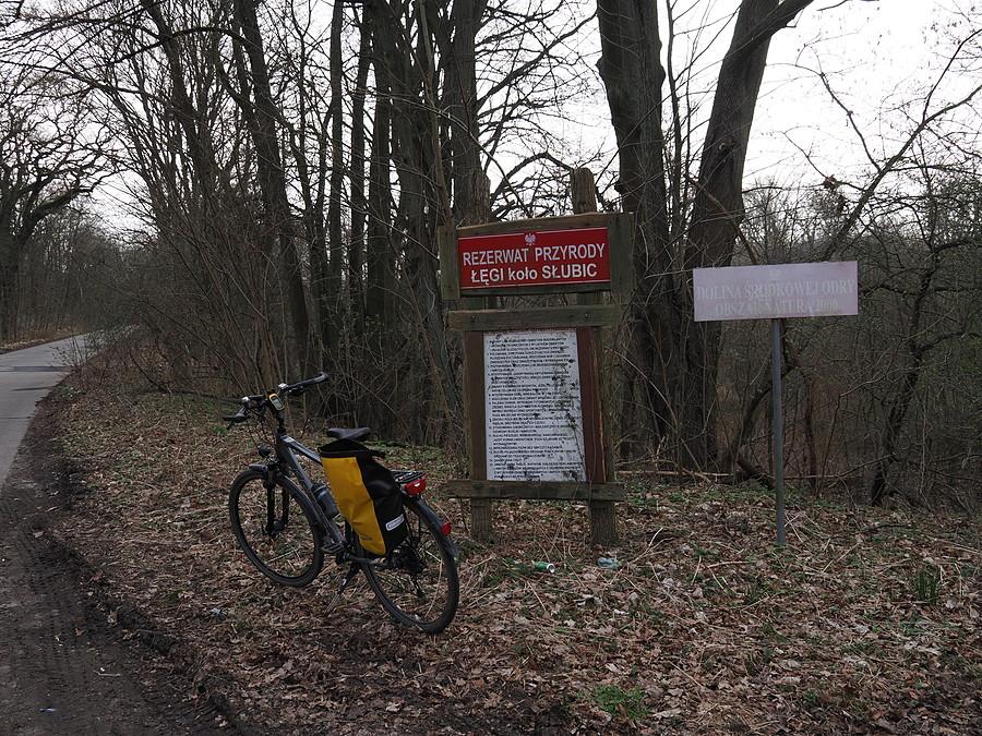 Rezerwat Przyrody "Łęgi koło Słubic"