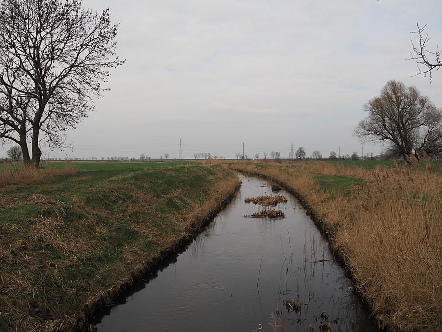Racza Struga pod Drzecinem