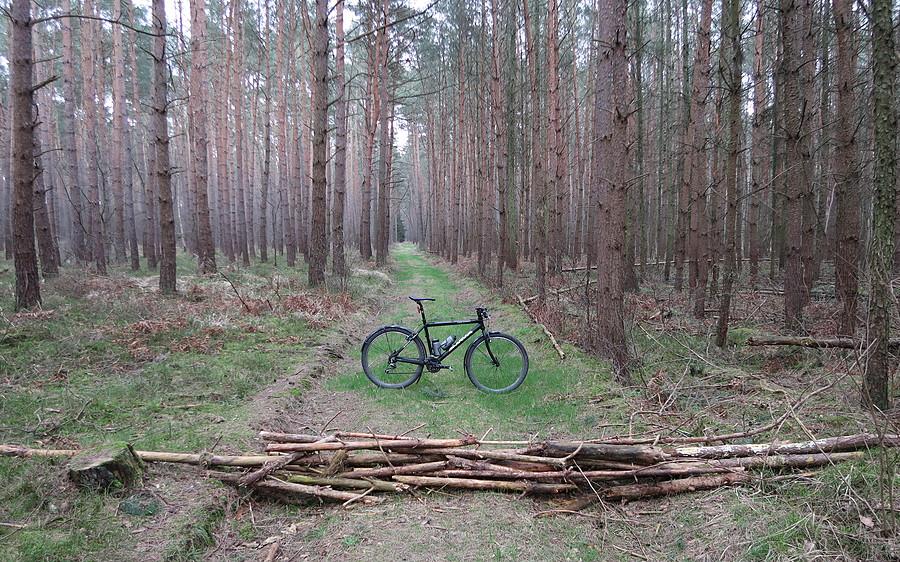 Bikestatsowa blokada stoi i ma się dobrze