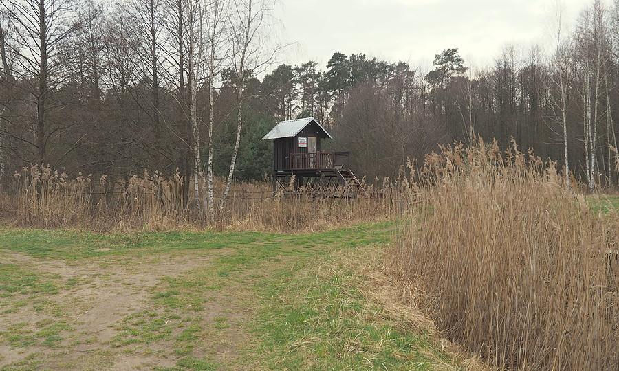 Nad zalewem