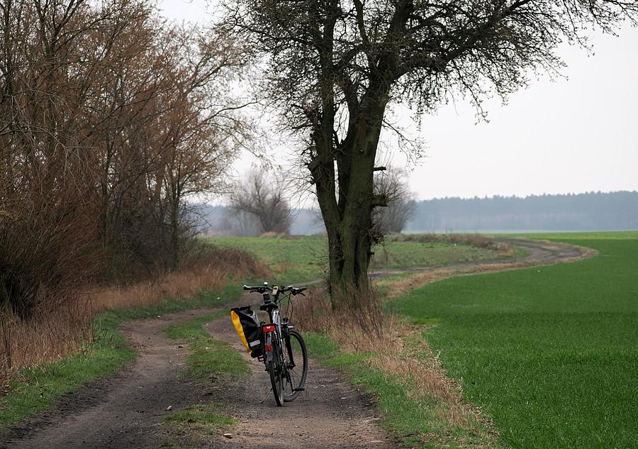 Polna droga z Kowalowa do Drzeńska