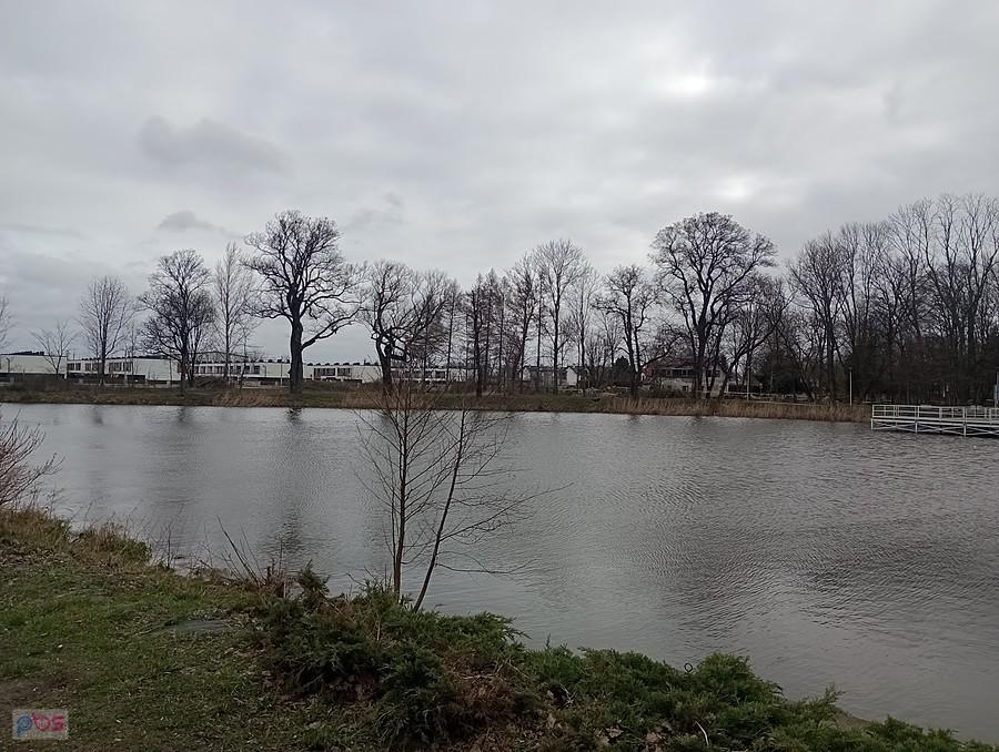 Staw w Ołtarzewie